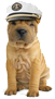 dog-icon