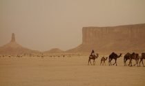 Saudi Arabia Reinstates the Visa-on-Arrival Scheme